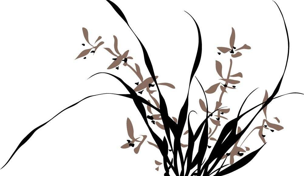 兰花诗句经典名句（描写兰花的诗句古诗）