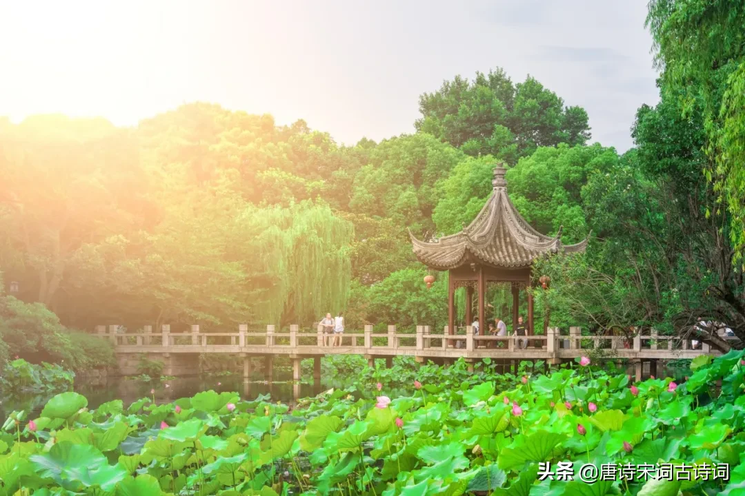 立夏的诗词有哪些（描写立夏的古诗名句）