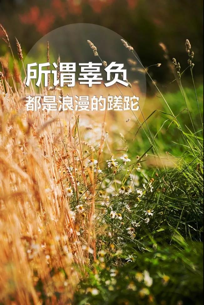 一天一句心情早安语（很温馨的早安句子）