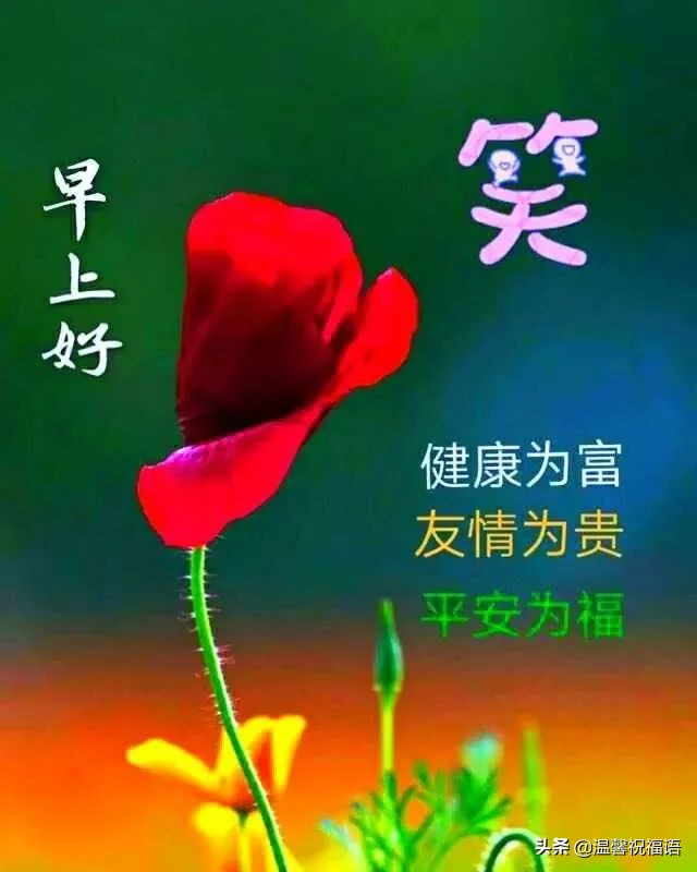 春天祝福语短句（春天的美好祝愿）