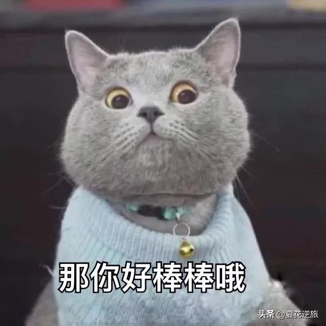七夕幽默的句子（七夕情人节唯美句子）