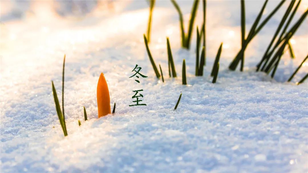 冬至古诗大全鉴赏（关于冬至的古诗词欣赏）