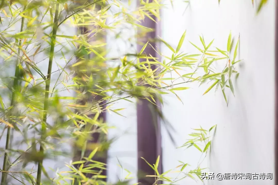 辛弃疾的古诗有哪些（辛弃疾25首著名的诗词）