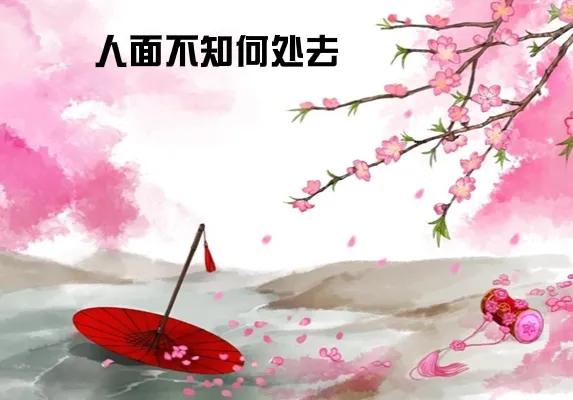 人面不知何处去原文（人面不知何处去的寓意及赏析）