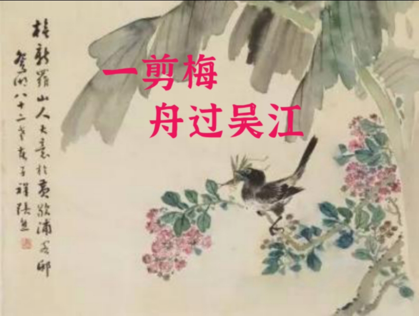 一剪梅舟过吴江全诗（一剪梅舟过吴江赏析及翻译）