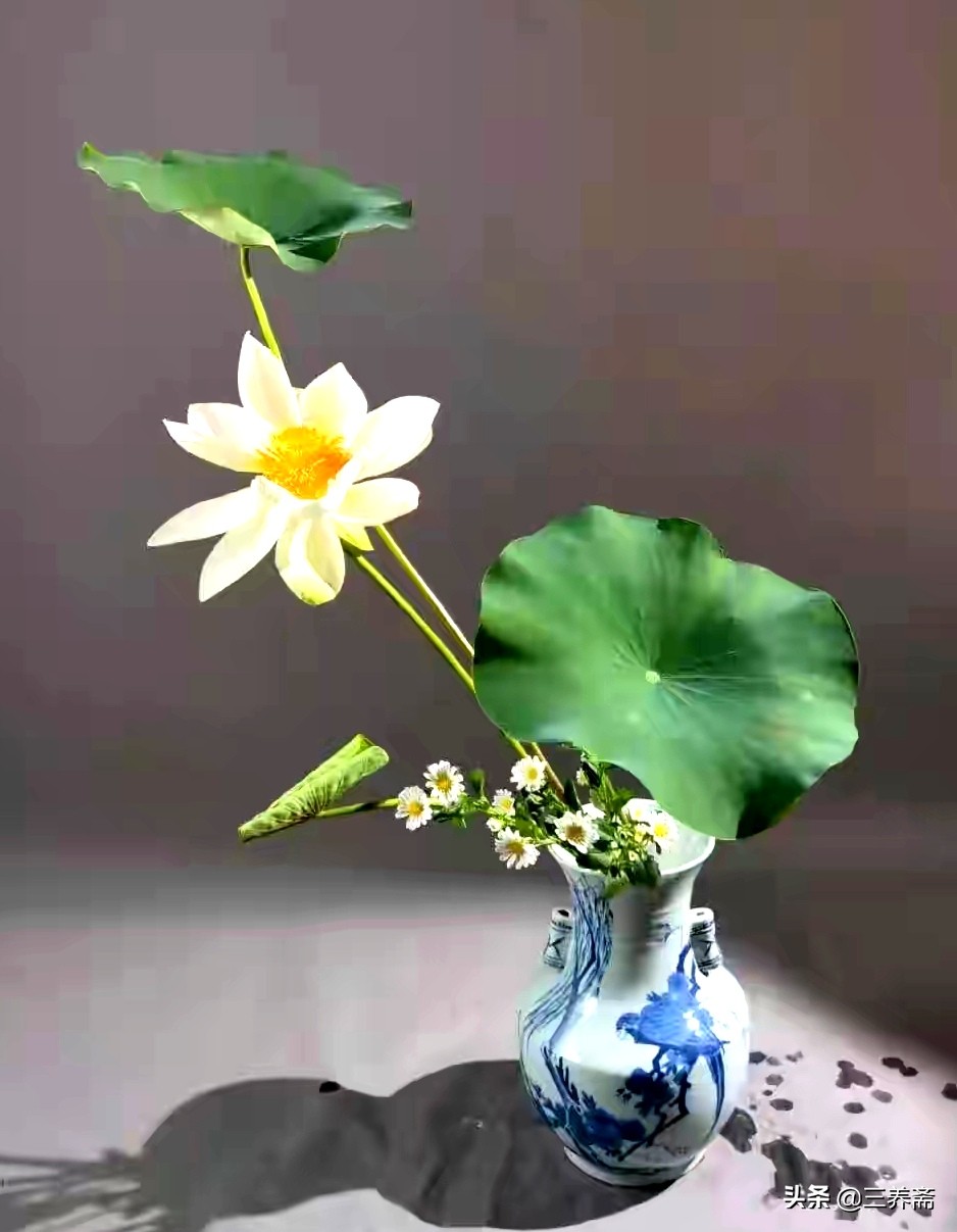 池上唐白居易古诗（池上的原文及翻译赏析）