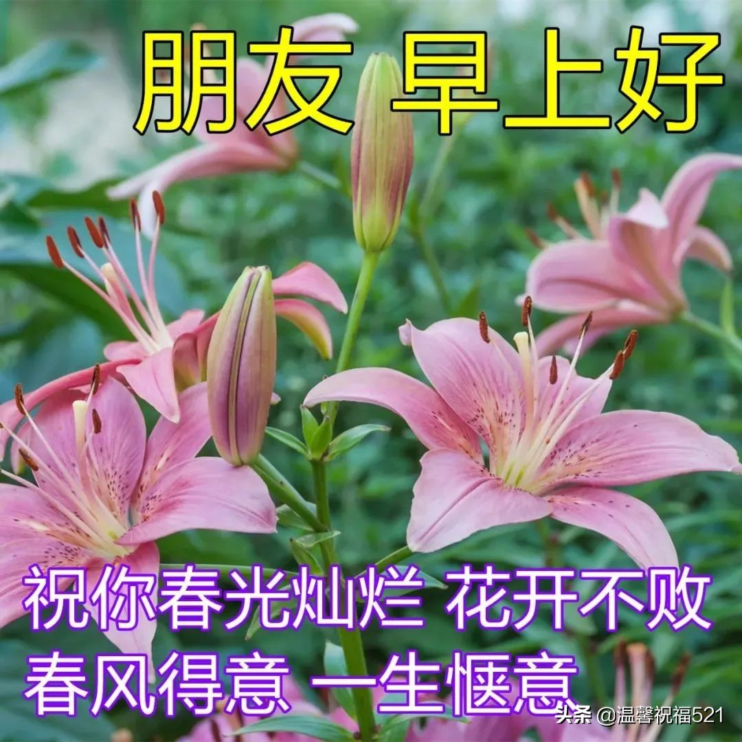 早安心语短句（早安让人看了舒服的句子）