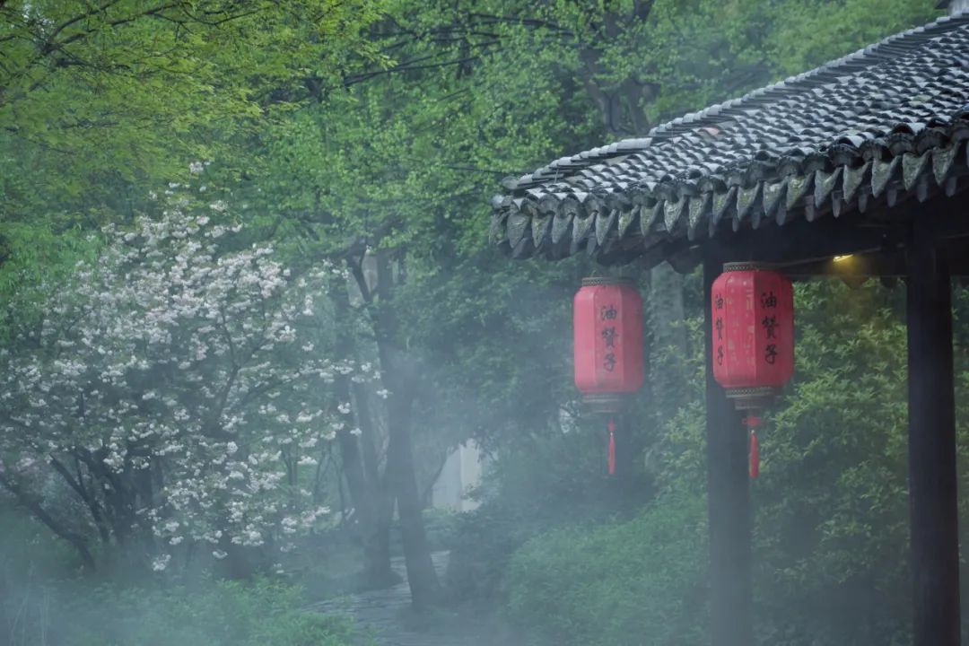 关于雨的诗句唯美（描写雨的诗句古诗赏析）