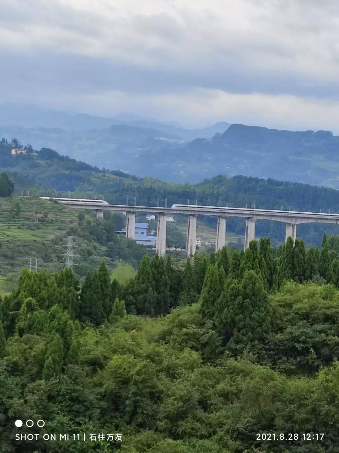 附庸风雅是什么意思（附庸风雅的意思翻译）