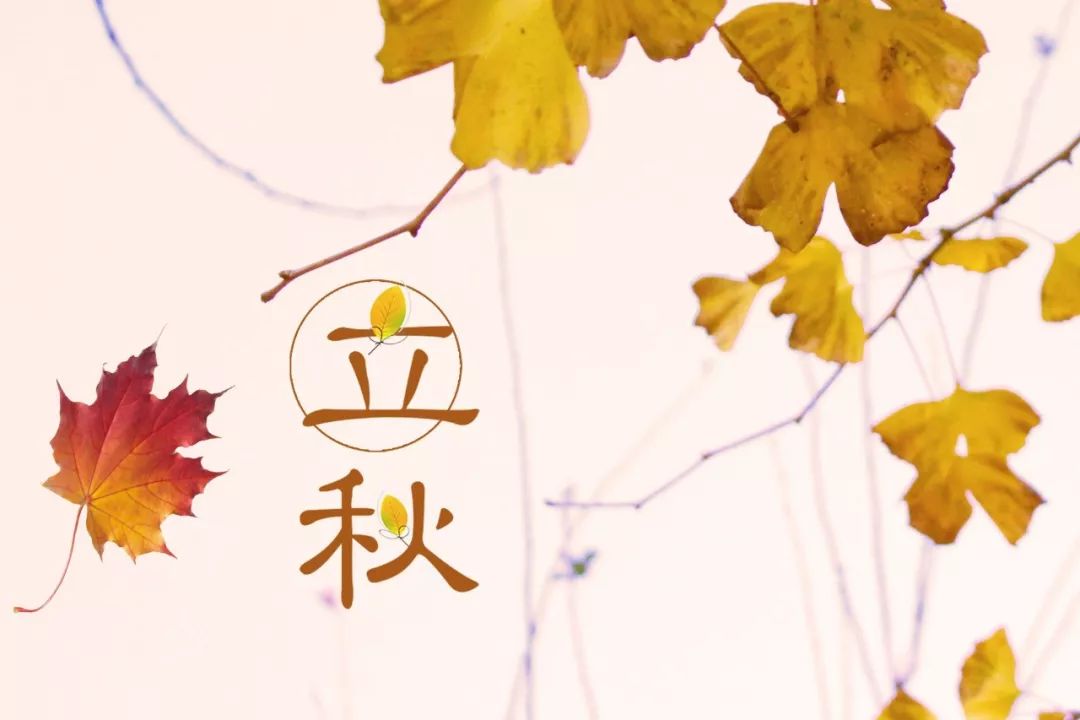立秋的诗句大全（关于立秋的美好诗句）