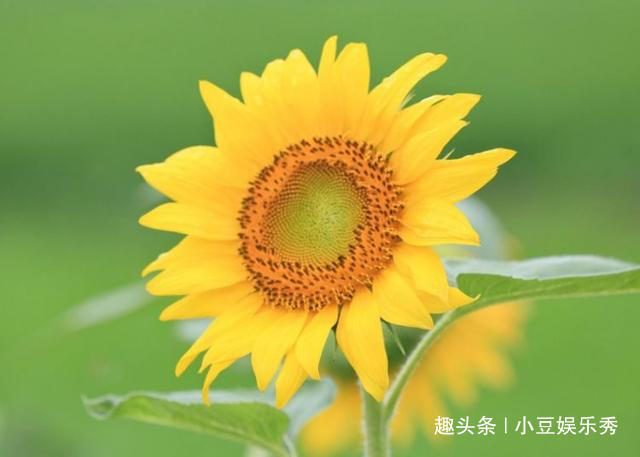 展望未来的诗句古诗（有关展望未来的句子欣赏）