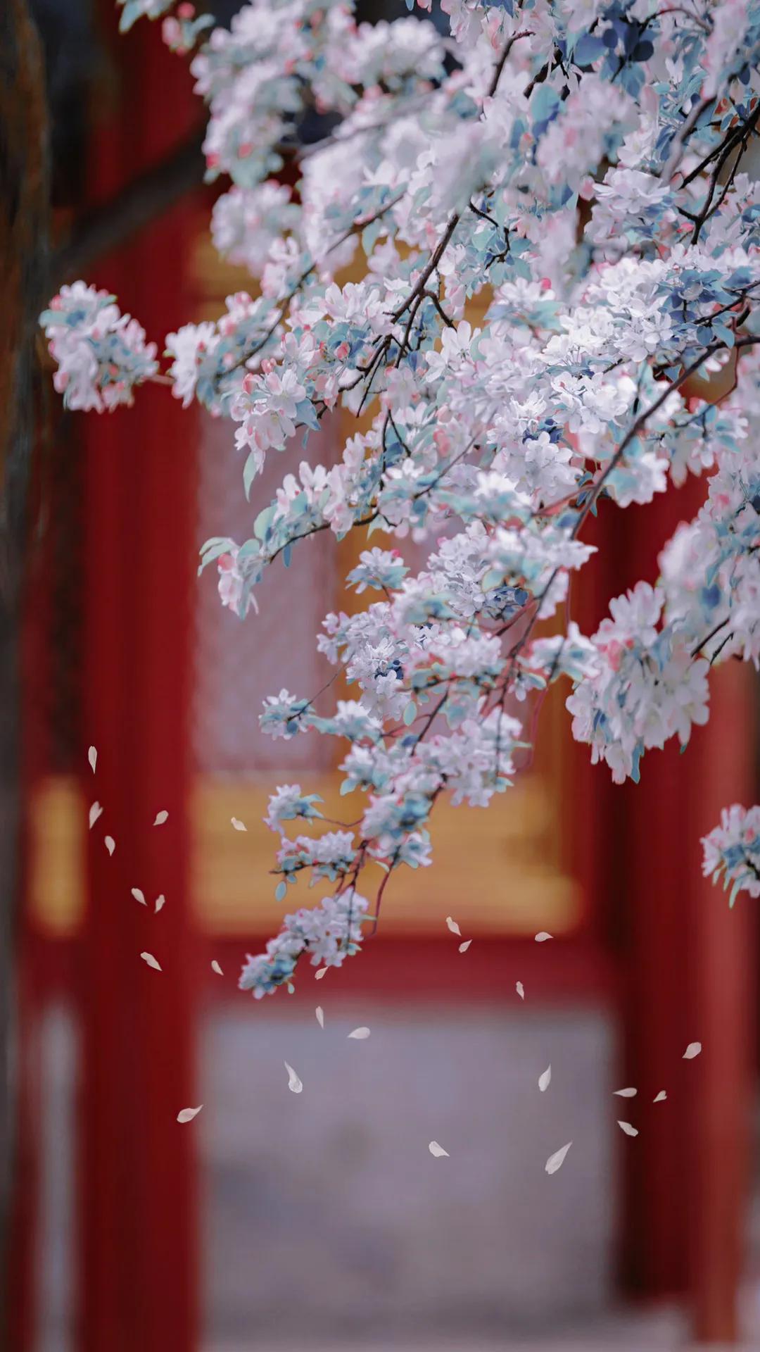 春节的句子短句唯美（关于描写春节的优美句子）