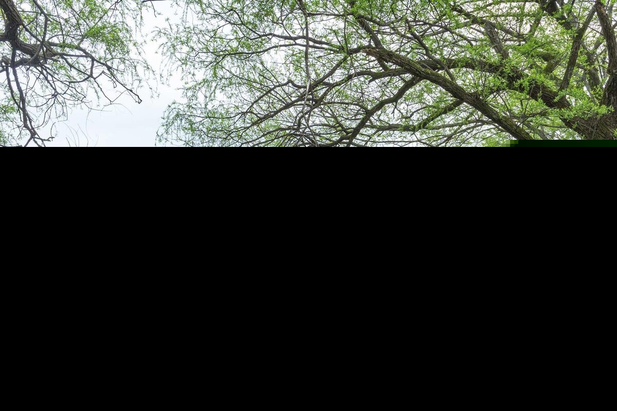 清明节一句话短语（关于清明节的句子简单）