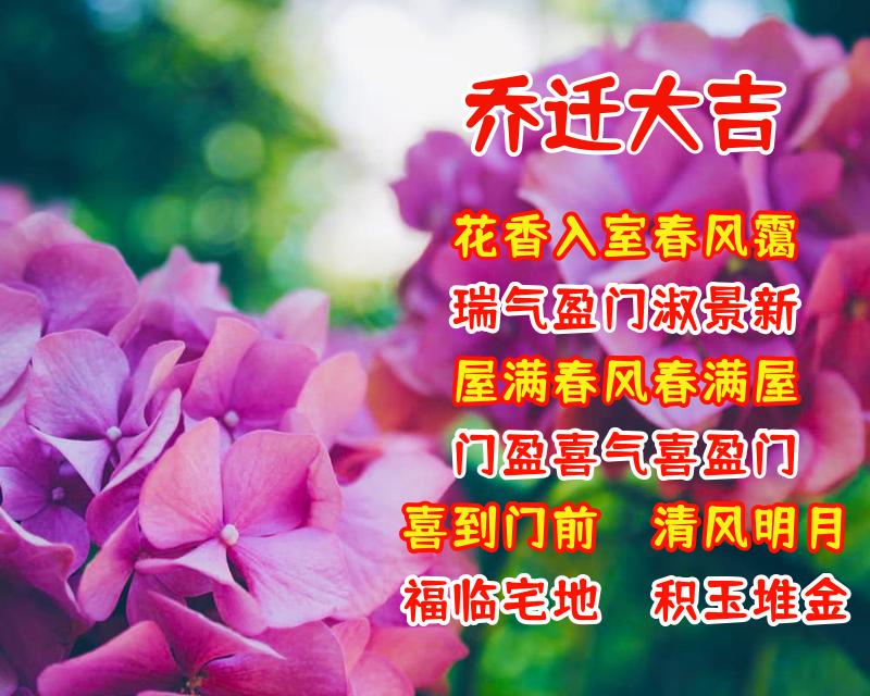 乔迁之喜的祝福语怎么说（恭贺乔迁新居经典句子）