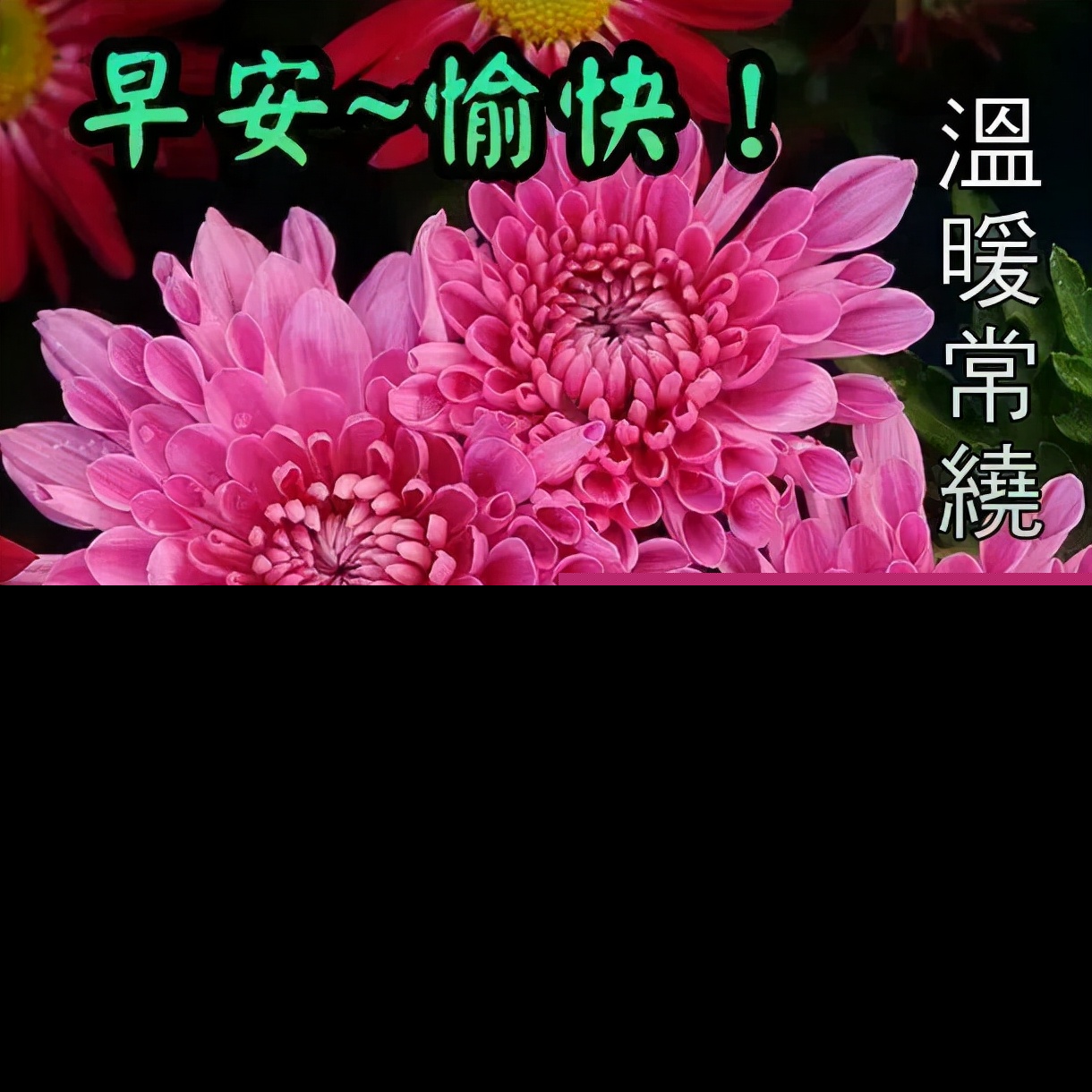关心的话语句子（情商高安慰人的句子）