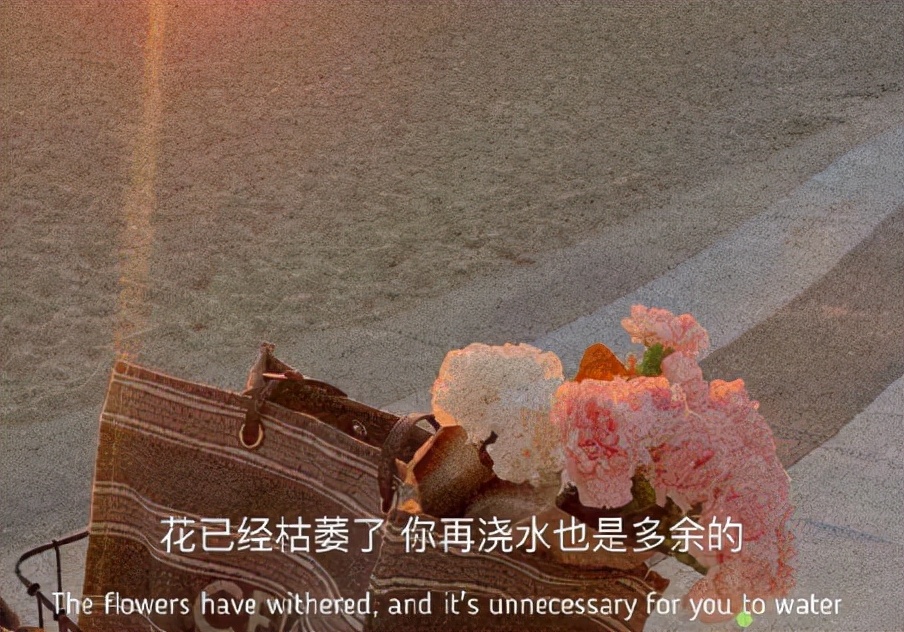 朋友圈煽情文案（适合发朋友圈心情的句子）