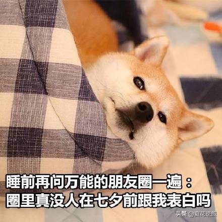 七夕幽默的句子（七夕情人节唯美句子）