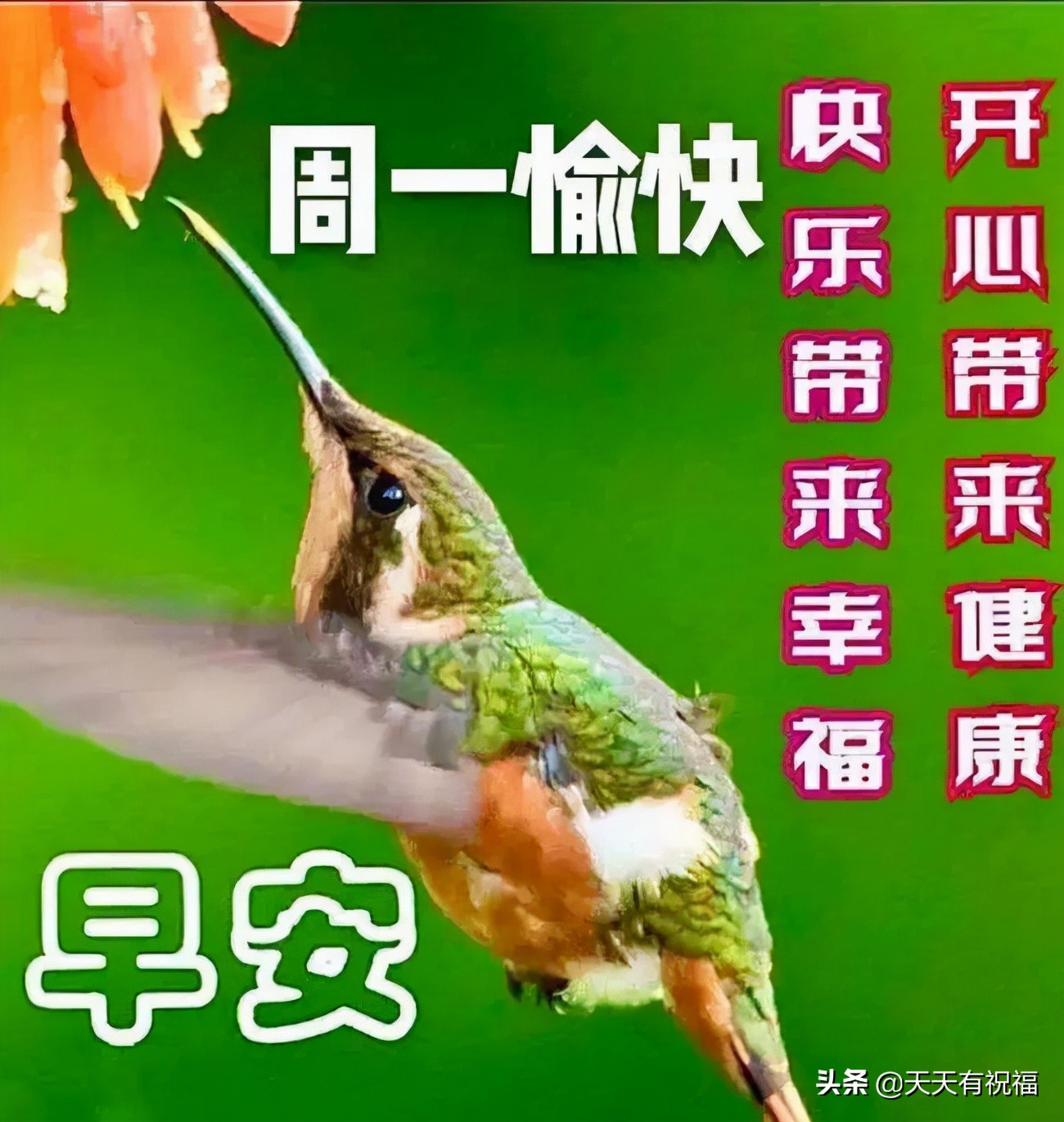 祝福语简短暖心短句（让对方看到暖心的句子）