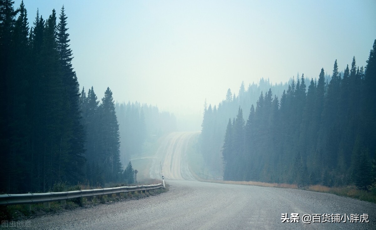 优美语句摘抄（励志温柔到爆的神仙句子）