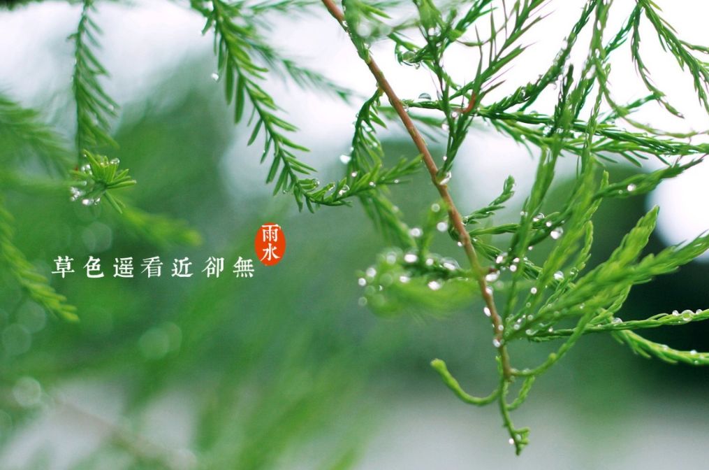 有关于雨水节气的诗句（雨水节气的古诗俗语和谚语）