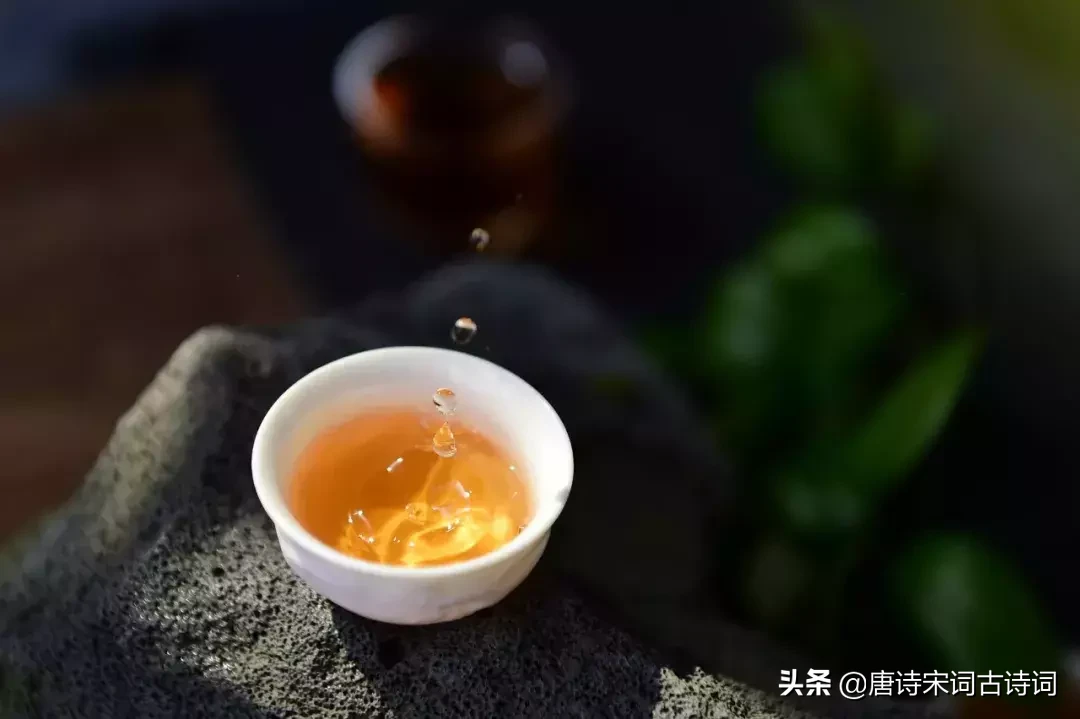 扑朔迷离的意思是什么（扑朔迷离的词语解释）