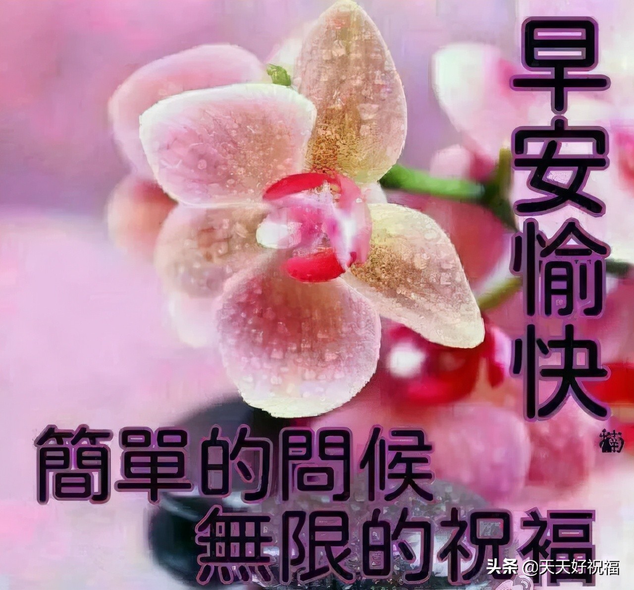 周末暖心的短句简短（美好的周末心情说说）