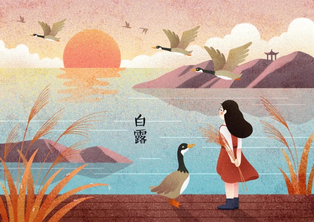 白露的诗句有哪些（描写白露的古诗诗句）