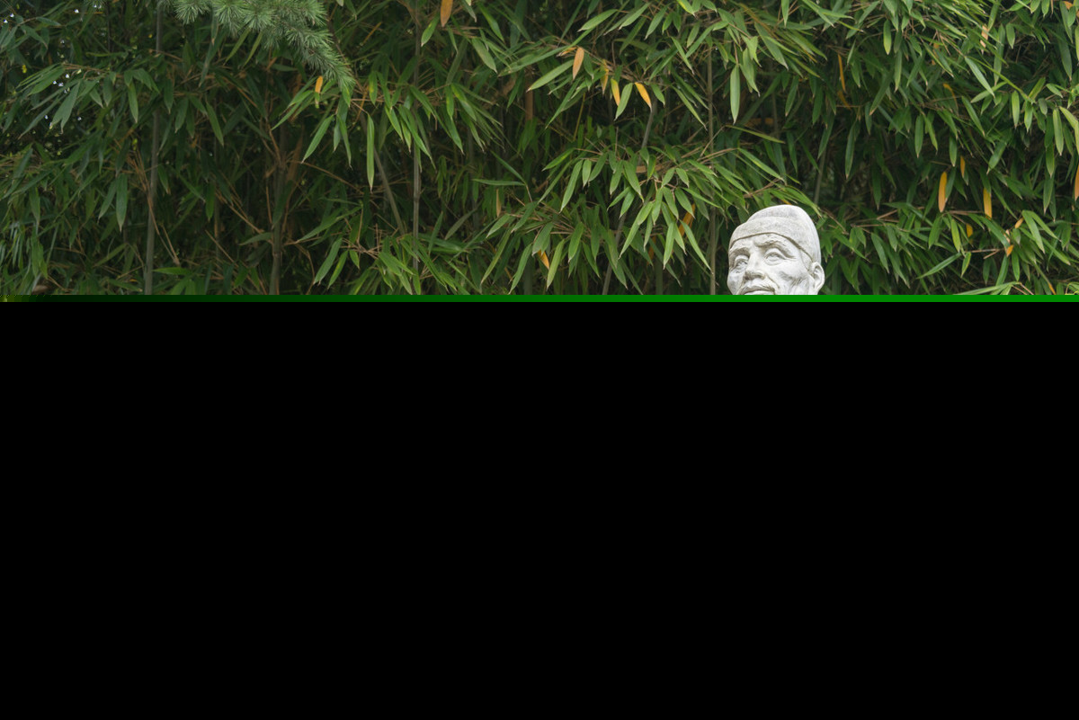 写诗最多的诗人是谁（古代诗人写诗数量排名）
