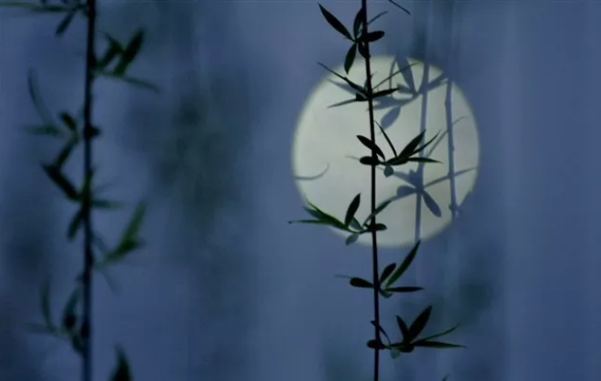 月夜古诗鉴赏（月夜古诗杜甫翻译及赏析）