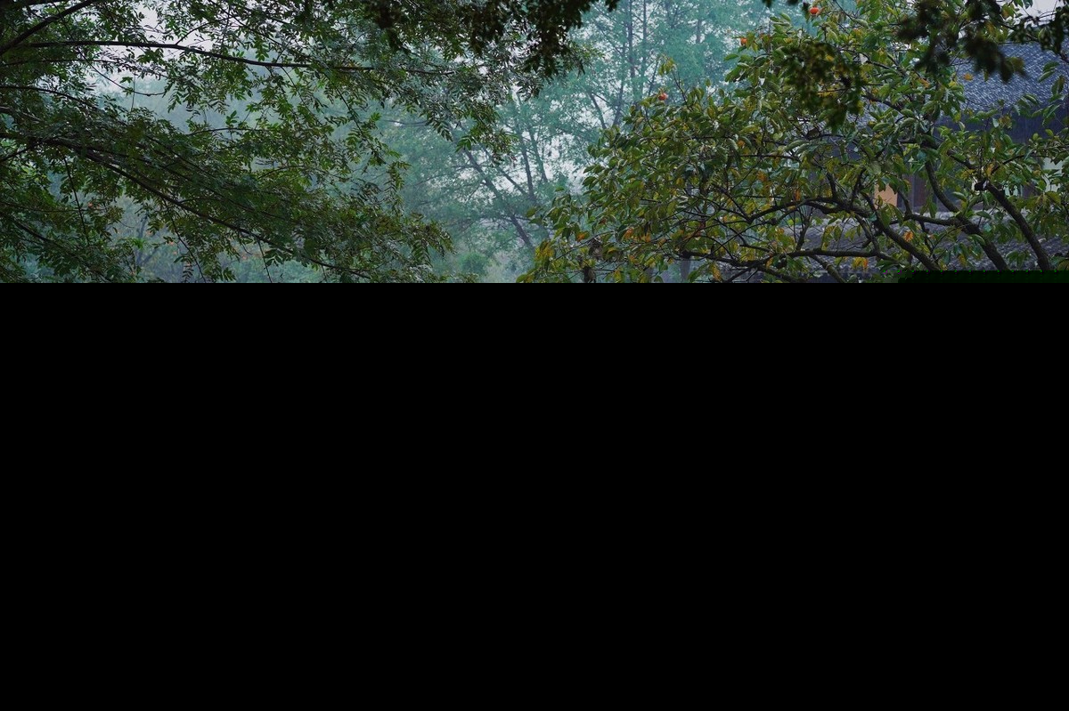 使我不得开心颜全诗（愿彼此珍惜的古诗词）