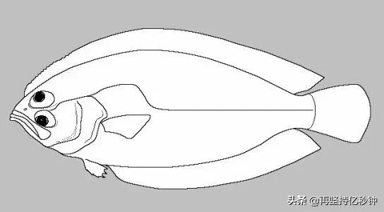 得成比目何辞死下一句是什么（得成比目何辞死全文及翻译）