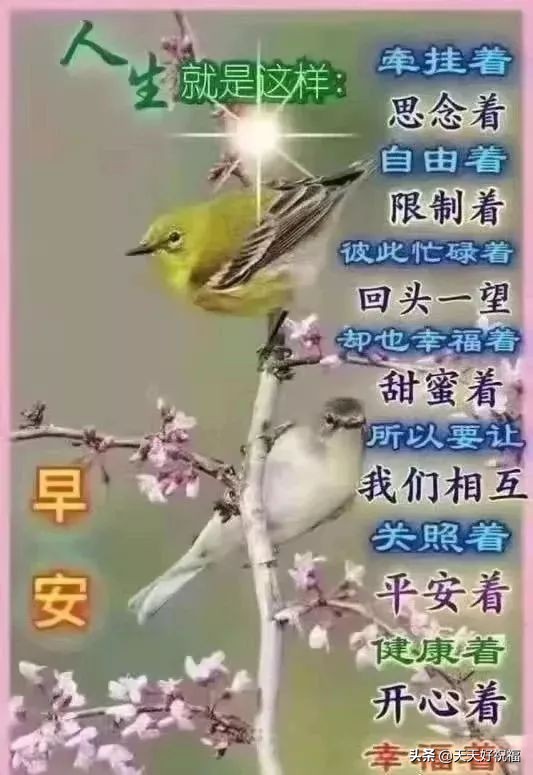 周末暖心的短句简短（美好的周末心情说说）