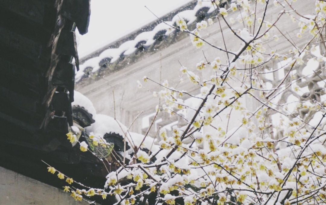 瑞雪兆丰年的上一句是什么（古诗词赏析推荐）