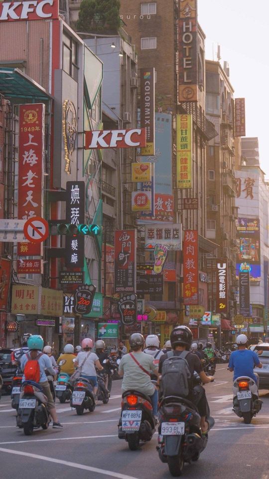 关于读者的句子有什么（读者经典语录摘抄）