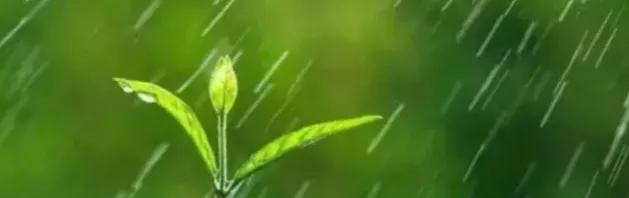 经典抒情散文诗（抒情散文诗精选简短）