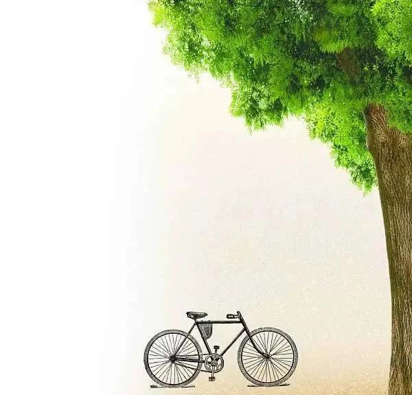 致青春的经典语句（关于青春的唯美句子）