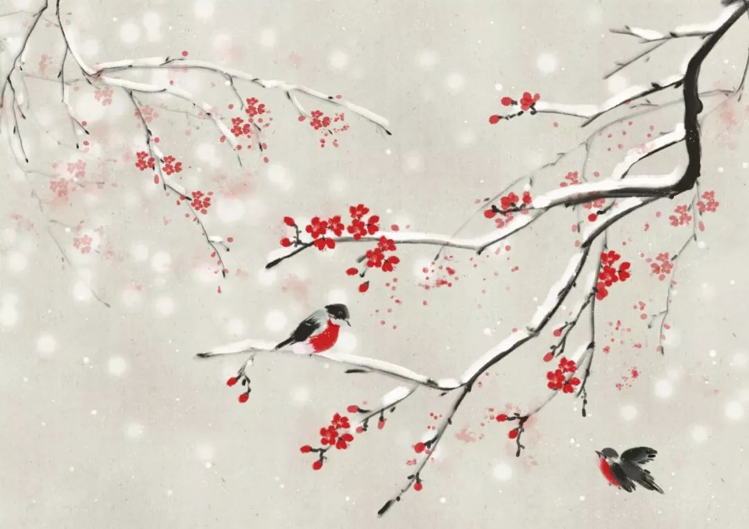 雪诗句大全唯美（赞美雪景的佳句）