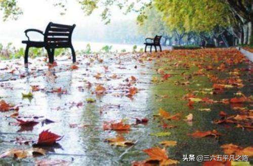 一场秋雨一场寒什么意思（一阵秋雨一阵寒的诗句）