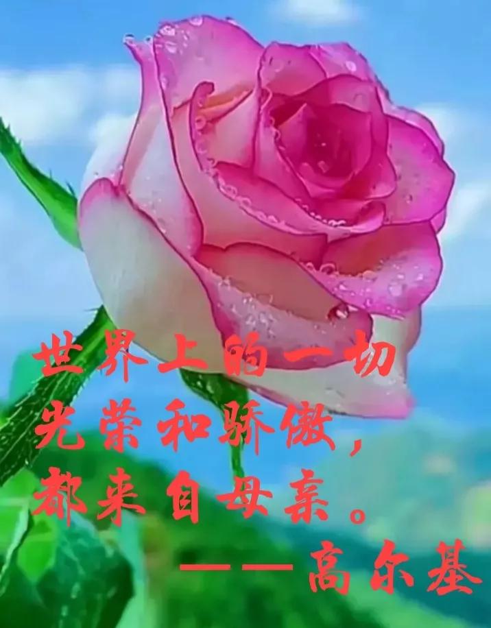 赞美母亲的话感动（赞美母亲的唯美句子）