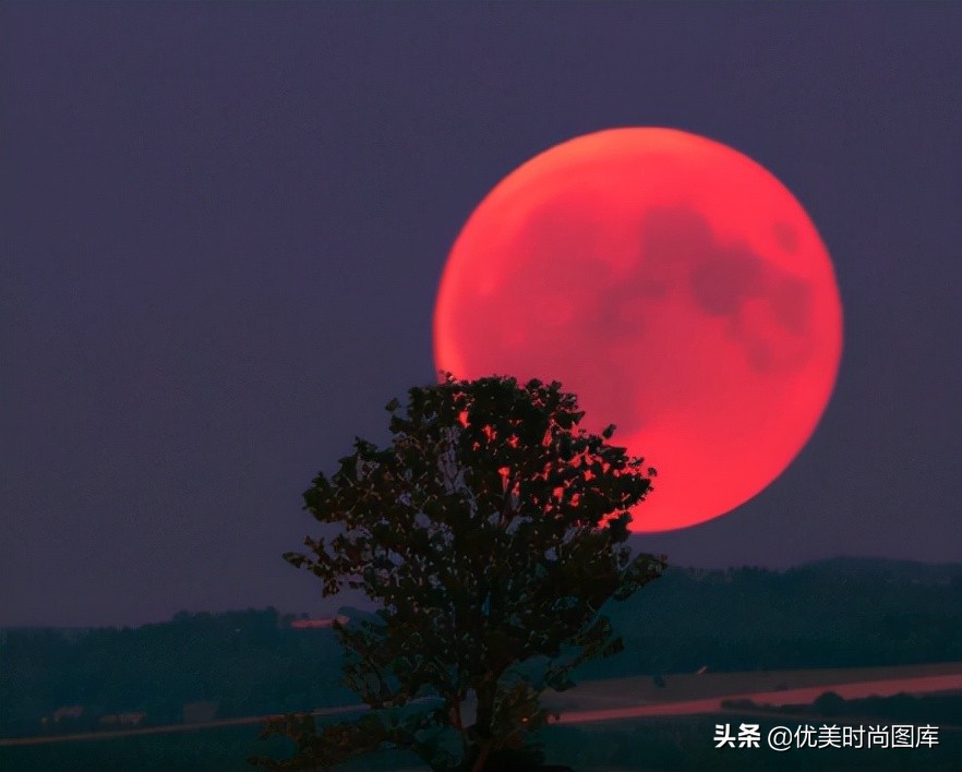 擦肩而过的唯美句子（形容擦肩而过的唯美句子欣赏）