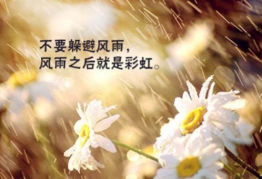 正能量短句美好生活（感悟生活的唯美句子）