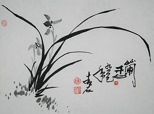 兰花诗句经典名句（描写兰花的诗句古诗）