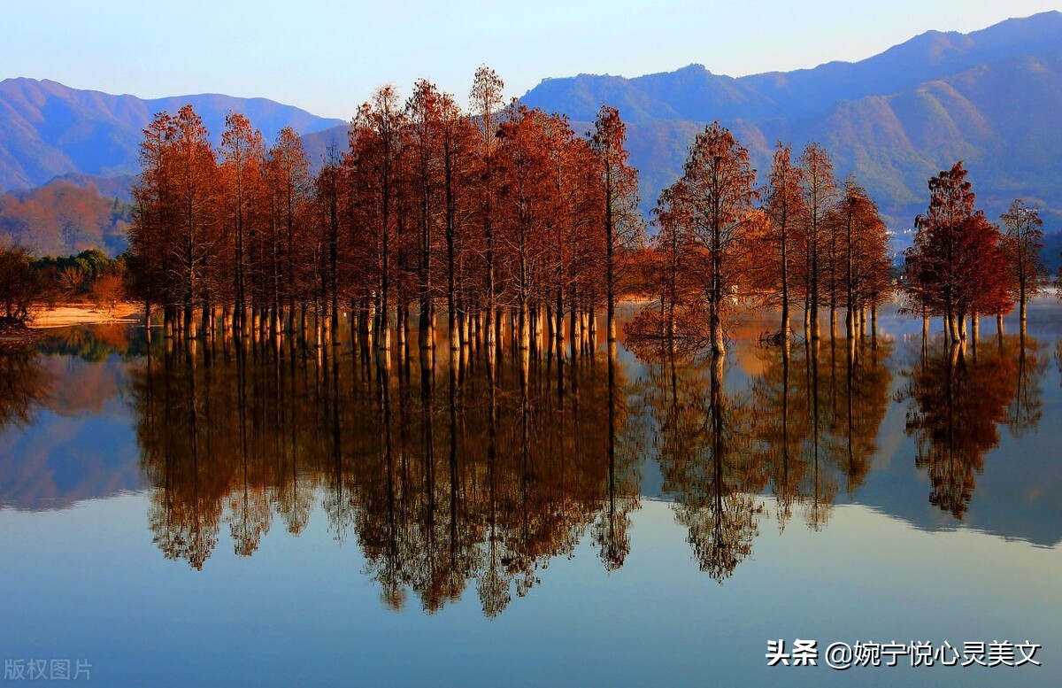 人生如梦是什么意思（人生如梦表达意思）
