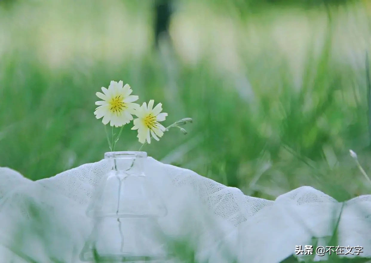 描写夏天的句子短句（夏天的句子唯美简短）