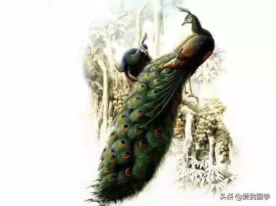 孔雀东南飞翻译（孔雀东南飞原文及赏析）