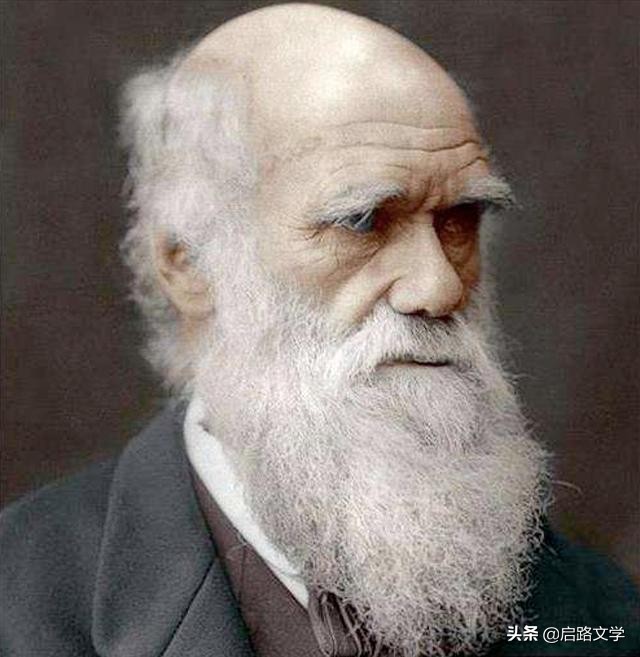积极乐观的名人名言（积极乐观的心态的句子）