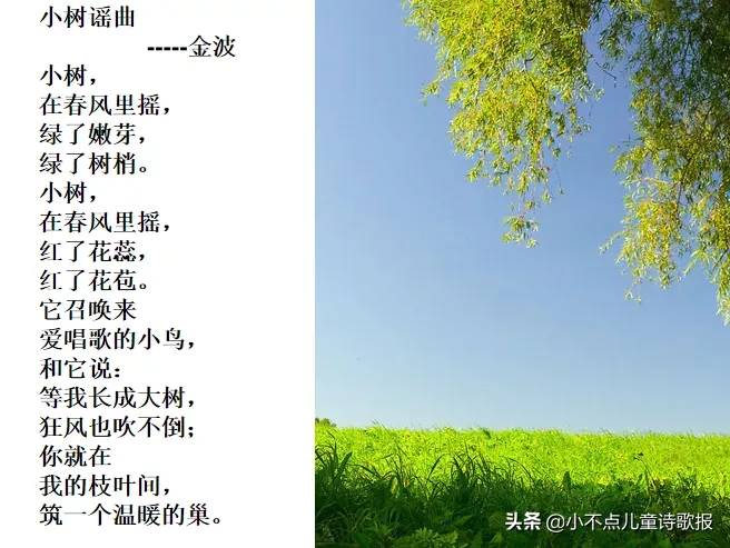 金波的诗有哪些（十首最短的儿童诗金波）