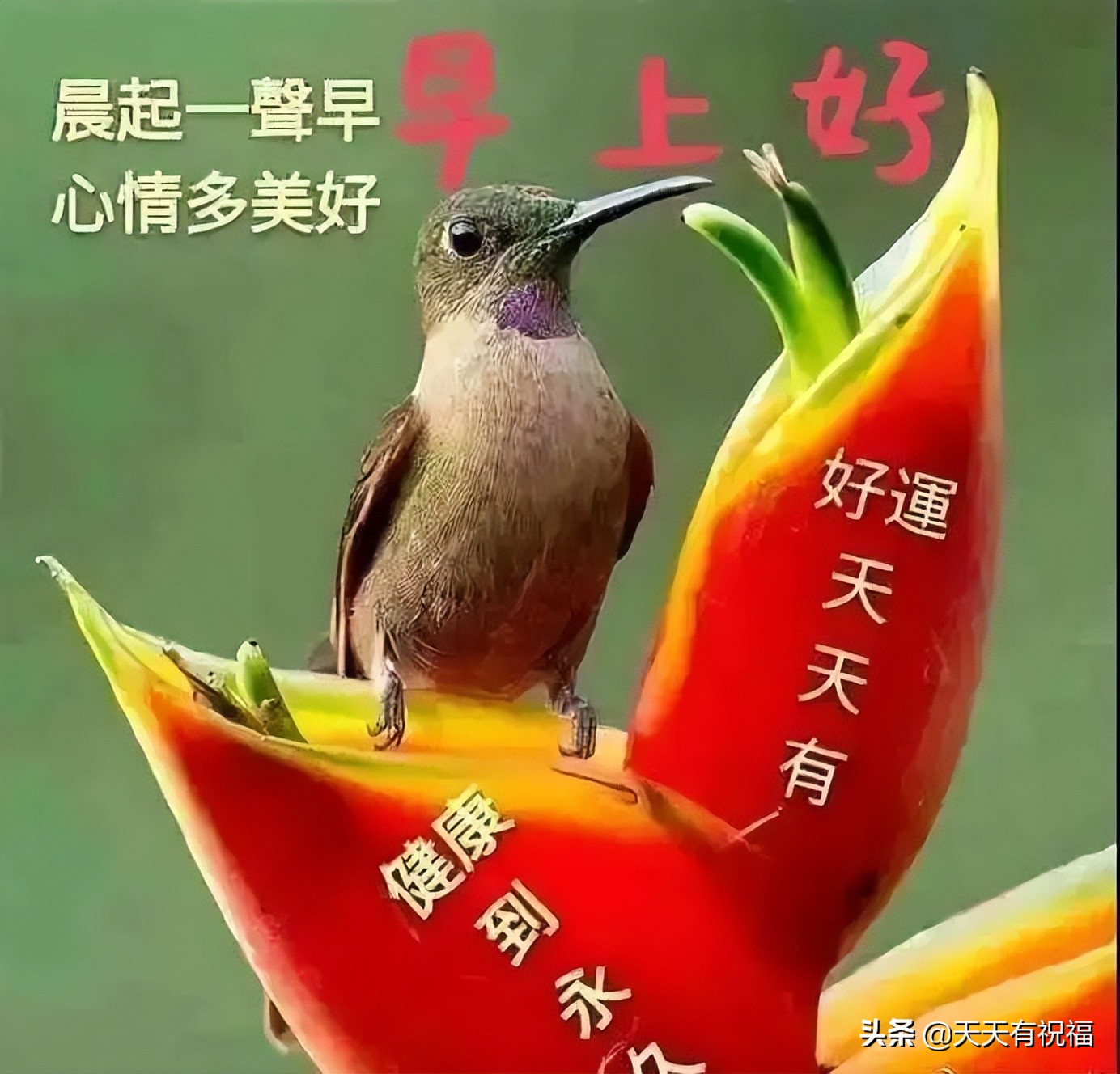早安朋友圈文案（早安文案简短吸引人）