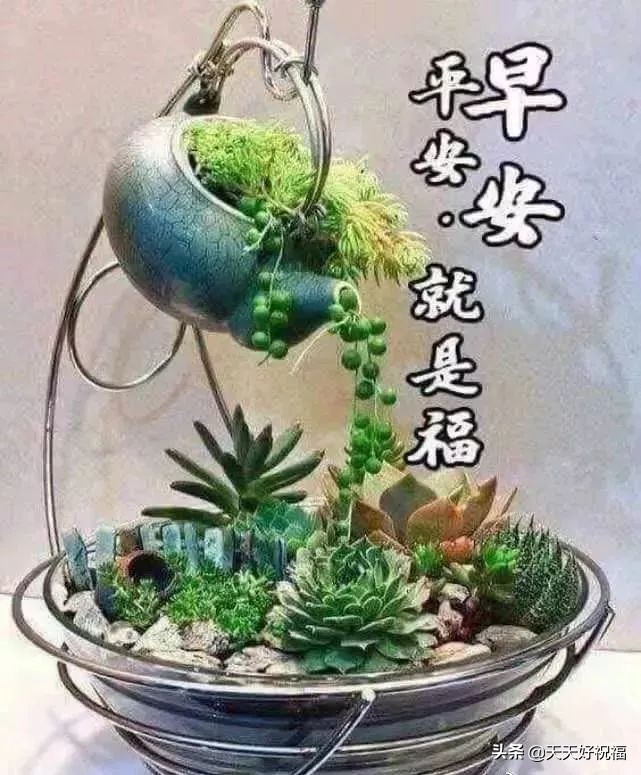 适合所有人的祝福语（最打动人心的祝福语）