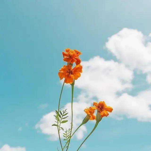 简短走心的句子励志（关于心态激励语的短句）